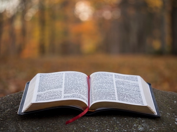 Detail na bibli, položenou na kameni, na pozadí podzimního lesa. 
