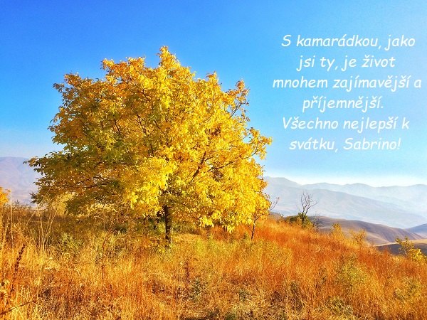 Listnatý strom se zlatými listy na louce s horami v pozadí a s přáním k svátku pro Sabrinu.