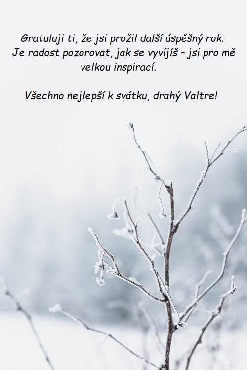Blahopřání k svátku Valtrovi na pozadí zamrzlých větviček.