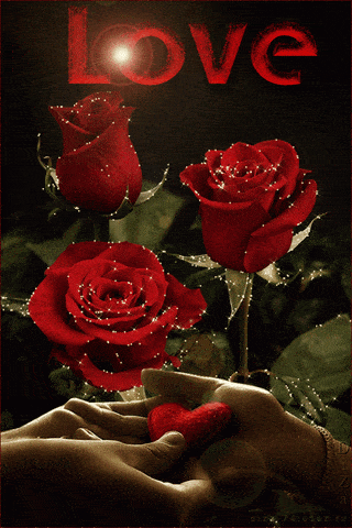 Přání k svátku s růžemi a nápisem "Love".