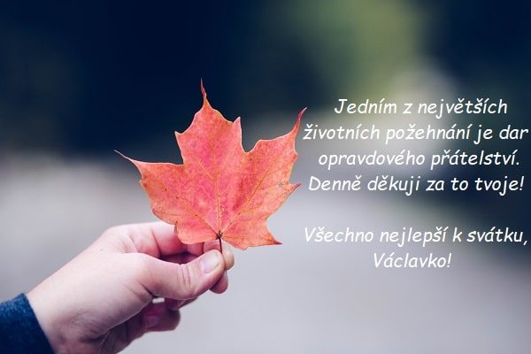  Ruka, držící oranžový javorový list, s blahopřáním k svátku Václavce.