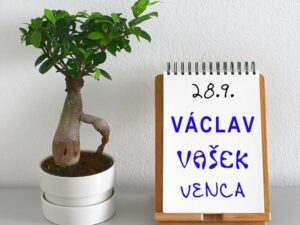 Bonsaj v květináči s blokem s nápisem Václav.