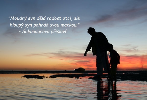Silueta muže stojícího na břehu moře, ukazujícího malému chlapci něco ve vodě při západu slunce s citátem o synovi podle Šalamouna.