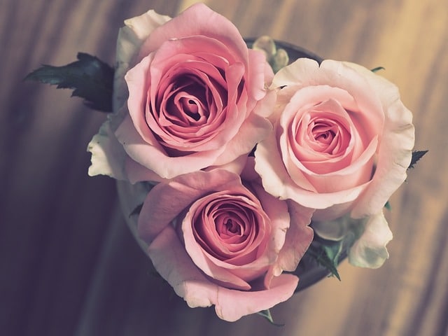 Obrázek se třemi růžemi.