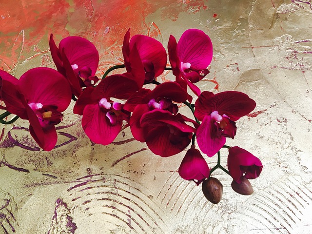 Obrázek s červenými orchidejemi.