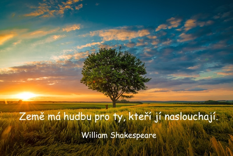 Podvečerem nasvícená krajina, jako v ČR, uprostřed obrázku je listnatý strom, Shakespearův citát: Země má hudby pro ty, kteří jí chtějí naslouchat.