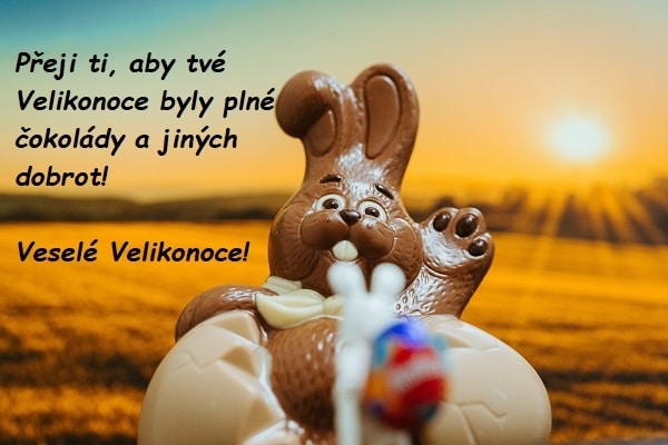 Obrázkové velikonoční přání s čokoládovým králíčkem sedícím ve vajíčku z bílé čokolády a gratulací k velikonočním svátkům. 