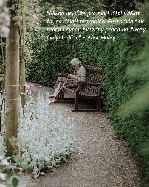 Čtoucí si babička, sedící na lavičce v parku, s citátem o babičkách od Alex Haley.