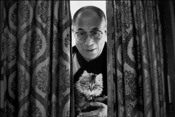 Černobílá fotografie Dalajlámy držícího kočku v dlaních
