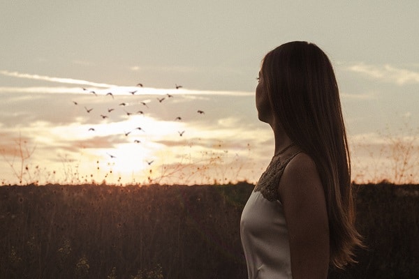Dívka hledící do dáli na odlétající hejno ptáků na louce při západu slunce.