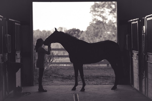 Silueta dívky líbající koně ve stáji