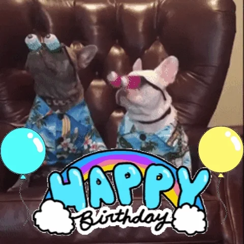 Gif přání k 45. narozeninám se dvěma buldoky s legračními brýlemi sedícími na koženém křesle s nápisem "Happy birthday" a létajícími kreslenými balónky. 