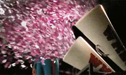 GIF přání k jmeninám s obrovskými konfety.