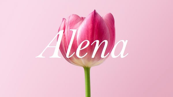 Jméno Alena na pozadí fotografie květu růže.