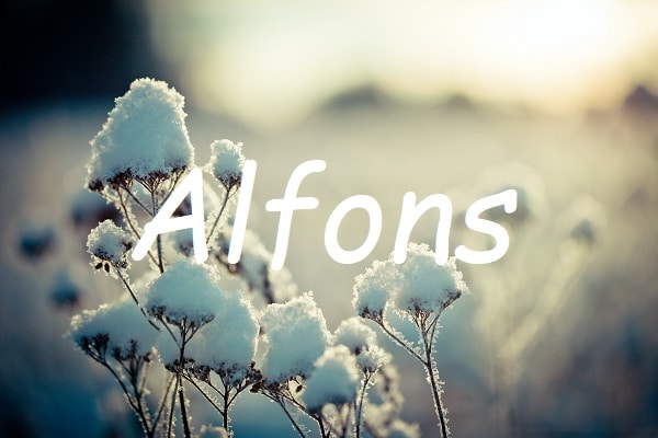 Jméno Alfons na pozadí sněhem zapadané luční rostliny při západu slunce.