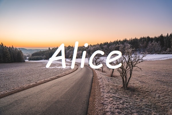 Jméno Alice na pozadí fotografie s polní cestou v zimní krajině při západu slunce.
