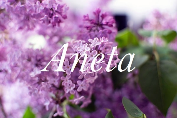 Jméno "Aneta" na pozadí fotografie fialového květu.