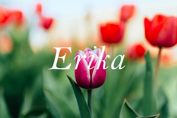 Jméno Erika na pozadí fotografie s tulipány.