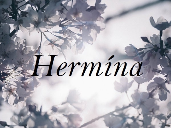 Jméno Hermína na pozadí rozkvetlých větví stromu.