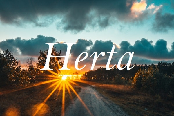 Jméno Herta na pozadí fotografie polní cesty při západu slunce.