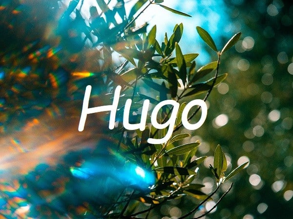 Jméno Hugo na pozadí obrázku s listnatou větví stromu.