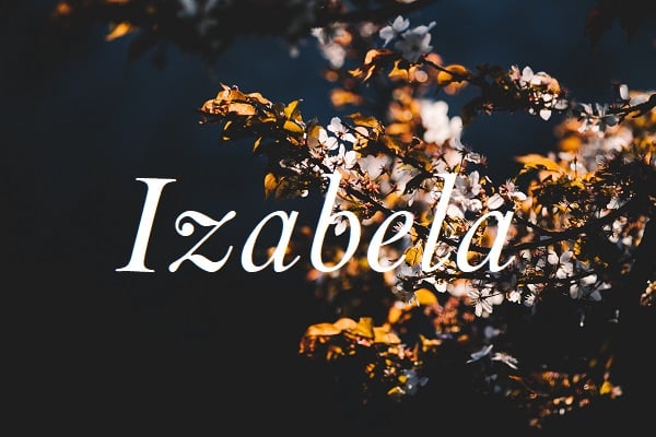 Jméno Izabela na pozadí rozkvetlé větve ve tmě.