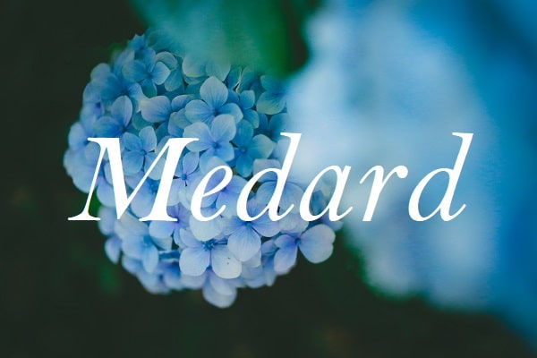 Jméno Medard na pozadí fotografie modré květiny.