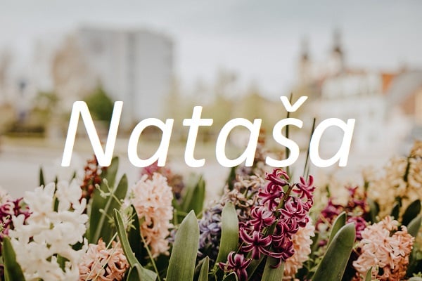 Jméno Nataša na pozadí květů na sídlišti.