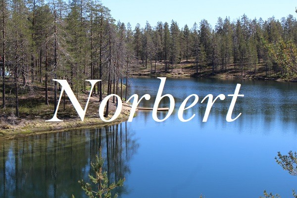 Jméno Norbert na pozadí fotografie řeky tekoucí skrz les.