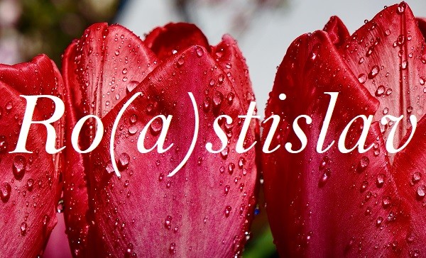 Jméno Ro(a)stislav na pozadí fotografie orosených květů tulipánů.