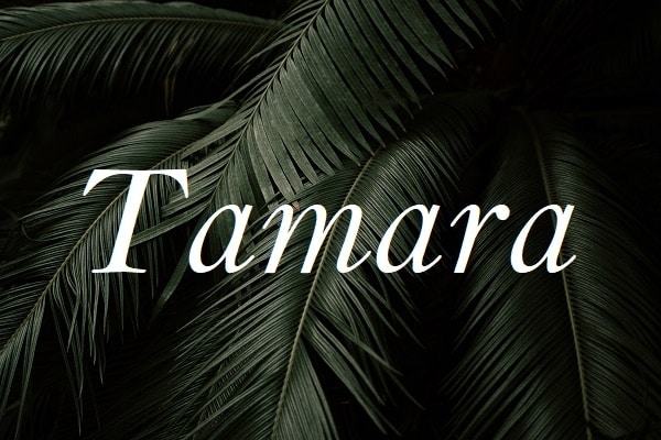 Jméno Tamara na pozadí fotografie s palmovými listy.