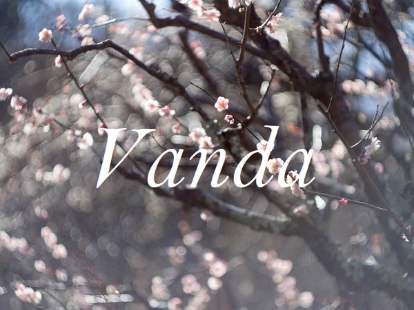 Jméno Vanda na pozadí fotografie rozkvetlých větví stromů.