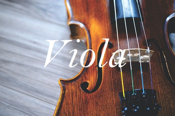 Jméno Viola na pozadí fotografie detailu hudebního nástroje viola.