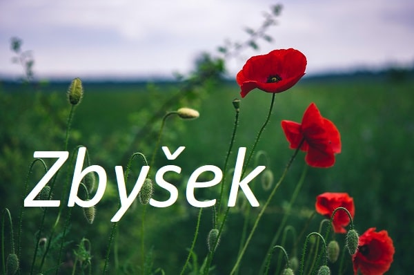 Jméno Zbyšek na pozadí fotografie rozkvetlých máků na louce.