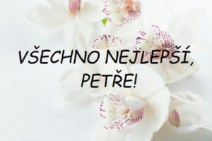 Bílé květy orchideje s nápisem Všechno nejlepší, Petře.