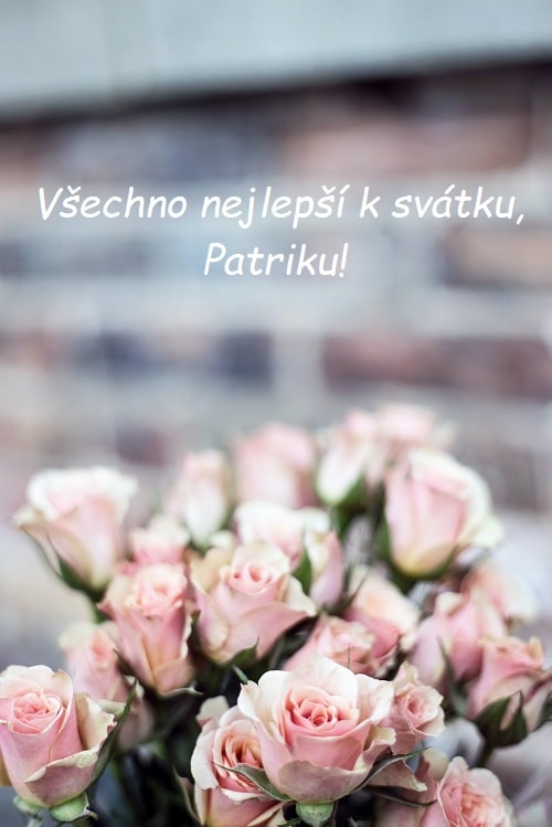 Kytice světle růžových růží s přáním všeho nejlepšího k svátku Patrikovi.