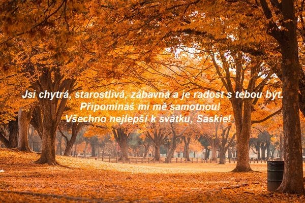 Listnatý les v podzimních barvách s přáním k svátku Saskii.