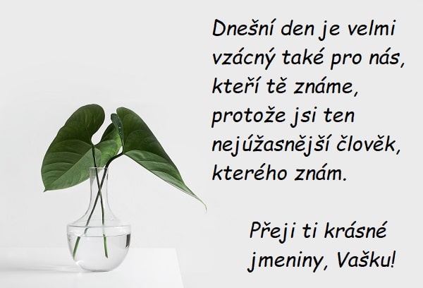 Dva zelené listy ve váze s nápisem, který přeje krásné jmeniny Vaškovi. 