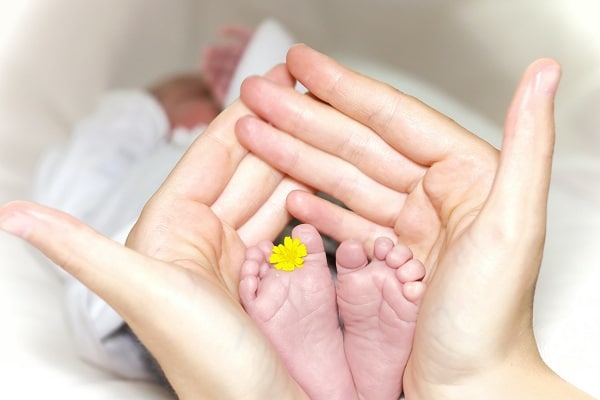 Detail na nožky miminka se žlutou květinou mezi prstíky, v dlaních dospělého člověka.