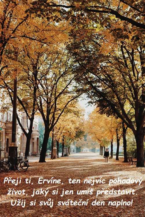 Městská cesta s domy lemovaná stromy a posypaná spadaným žlutým listím s přáním krásného svátku Ervínovi.