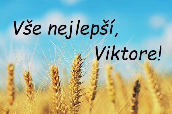 Nápis "Vše nejlepší, Viktore!" na pozadí pole se žlutým ječmenem pod modrou oblohou.