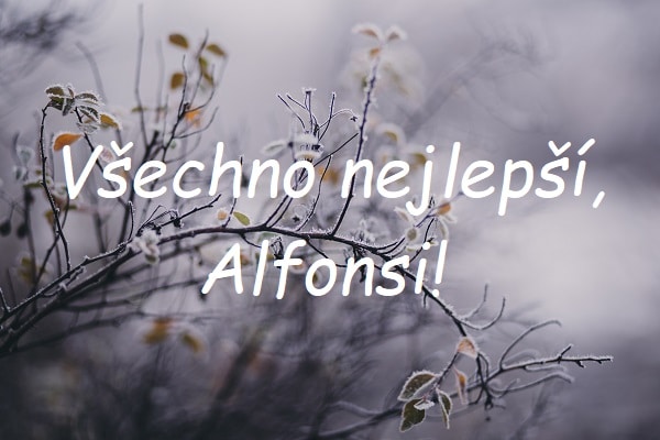 Nápis "Všechno nelepší, Alfonsi!" na pozadí zasněžených listnatých větviček v přírodě.