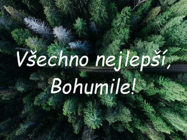 Nápis "Všechno nejlepší, Bohumile!" na pozadí horního pohledu na cestu vedoucí skrze jehličnatý les.