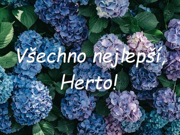 Nápis "Všechno nejlepší, Herto!" na pozadí fialovo-modrých květů se zelenými listy.