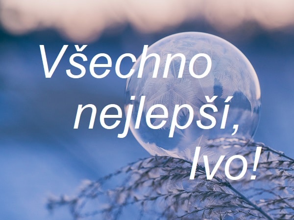Nápis "Všechno nejlepší, Ivo!" na pozadí fotografie mrazem zdobené bubliny ležící na větvičce.