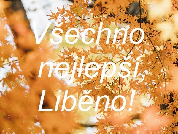 "Všechno nejlepší, Liběno!" na pozadí fotografie listopadově zabarvených listů na větvi stromu.