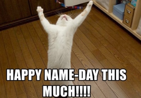 Vzhůru se natahující bílá kočka s nápisem Happy name-day this much!!!