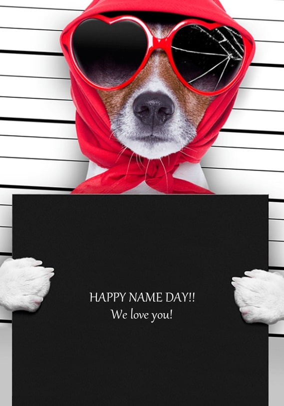 Pes s červeným šátkem na hlavě, slunečními brýlemi a tabulí s blahopřáním k svátku.