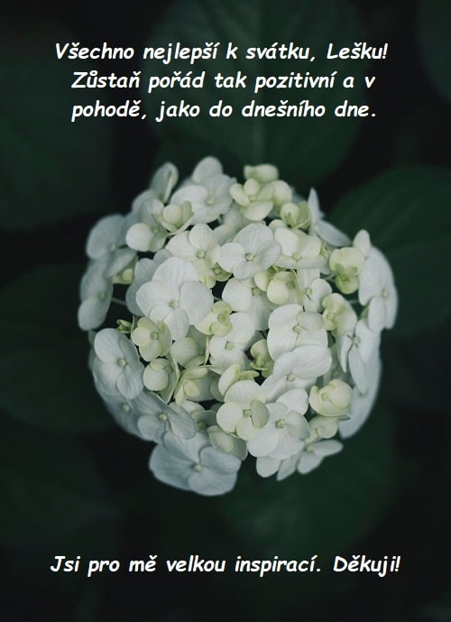 Poděkování a gratulace k svátku Leškovi na pozadí rozkvetlých bílých květin.