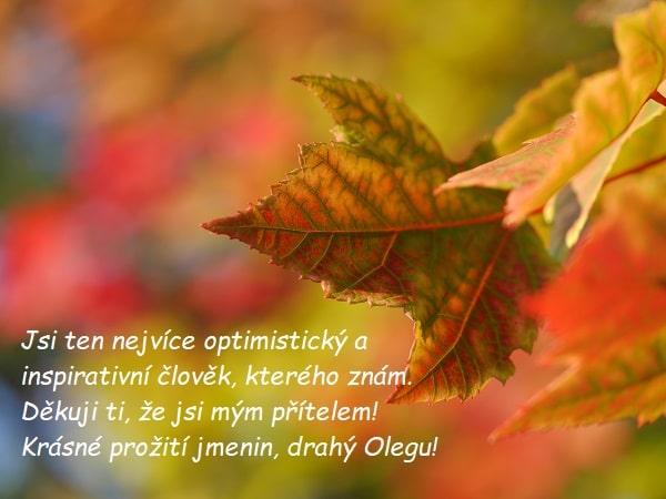 Detail na javorový list na barevném pozadí s přáním krásných jmenin Olegovi. 